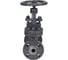 Клапан запорный сальниковый DN.ru 15с65нж WCB-WCB-M-F-S Ду32 Ру16 D090-02856 2