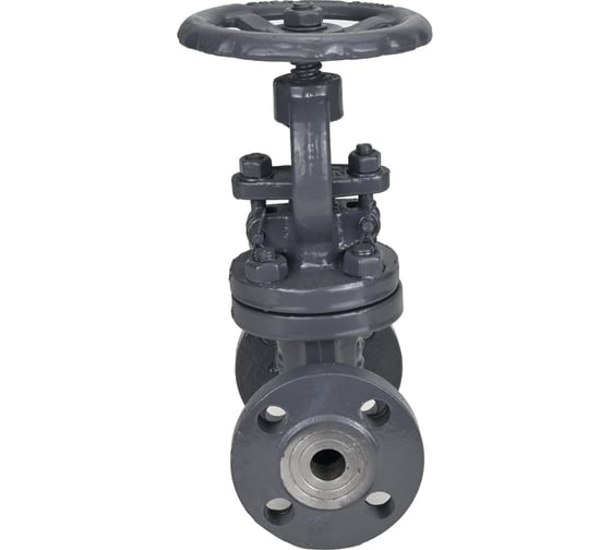 Клапан запорный сальниковый DN.ru 15с65нж WCB-WCB-M-F-S Ду200 Ру16 D090-02864
