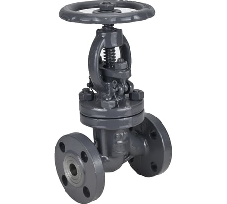 Клапан запорный сальниковый DN.ru 15с65нж WCB-WCB-M-F-S Ду50 Ру16 D090-02858