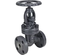 Клапан запорный сальниковый DN.ru 15с65нж WCB-WCB-M-F-S Ду100 Ру16 D090-02861