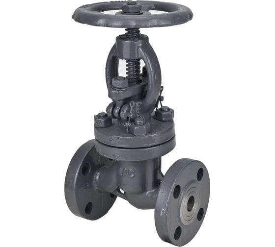 Клапан запорный сальниковый DN.ru 15с65нж WCB-WCB-M-F-S Ду150 Ру16 D090-02863