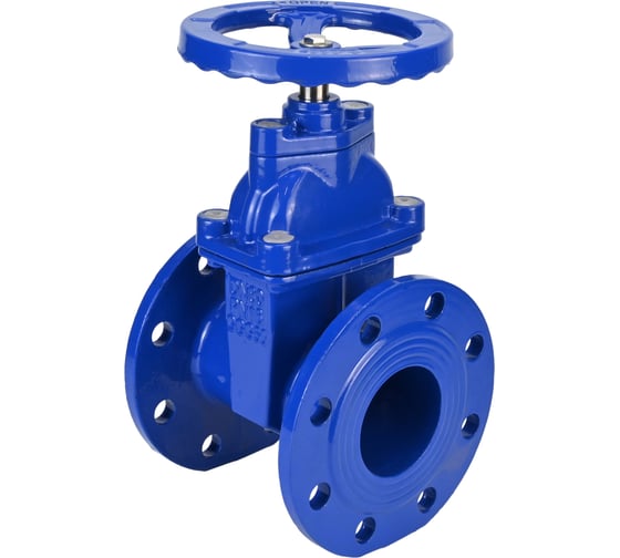 Задвижка клиновая DN.ru 30ч39р (аналог МЗВ) GGG50-GGG50-EPDM-F-S blue Ду100 Ру10/16 D040-08624