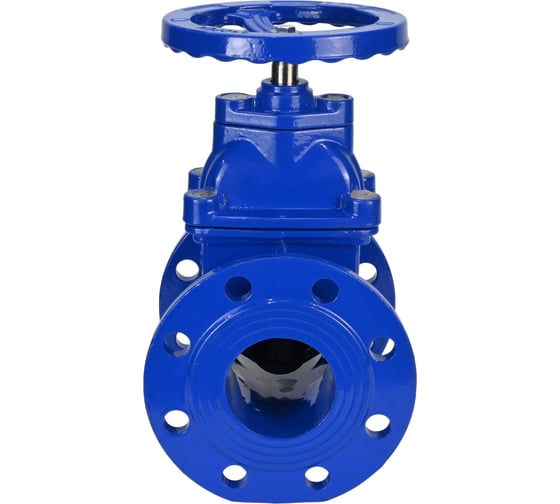 Задвижка клиновая DN.ru 30ч39р (аналог МЗВ) GGG50-GGG50-EPDM-F-S blue Ду300 Ру10/16 D040-08629