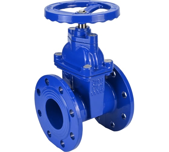 Задвижка клиновая DN.ru 30ч39р (аналог МЗВ) GGG50-GGG50-EPDM-F-S blue Ду300 Ру10/16 D040-08629
