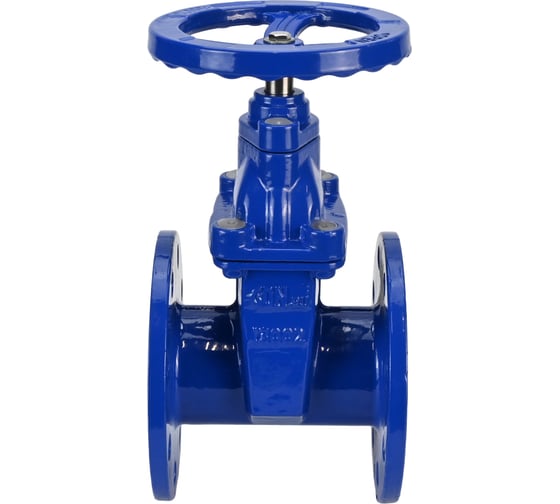 Задвижка клиновая DN.ru 30ч39р (аналог МЗВ) GGG50-GGG50-EPDM-F-S blue Ду300 Ру10/16 D040-08629