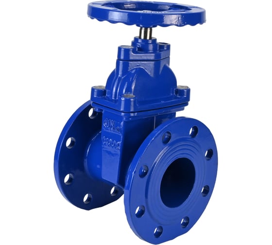 Задвижка клиновая DN.ru 30ч39р (аналог МЗВ) GGG50-GGG50-EPDM-F-S blue Ду80 Ру10/16 D040-08623