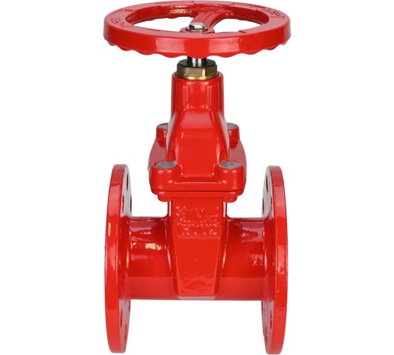 Задвижка клиновая DN.ru 30ч39р (аналог МЗВГ) GGG50-GGG50-S-F-S red Ду150 Ру10/16 D040-08641