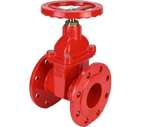 Задвижка клиновая DN.ru 30ч39р (аналог МЗВГ) GGG50-GGG50-S-F-S red Ду80 Ру10/16 D040-08639