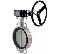 Дисковый затвор DN.ru 304-304-VITON-2W-Fb-R Ду300 Ру16 с редуктором D050-46284