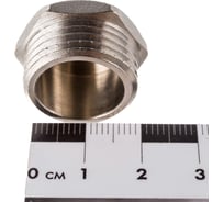 Заглушка AQUALINK 1/2 нар (Цена за упаковку 10 шт.)  арт. 2584