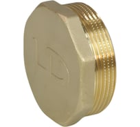 Заглушка LD латунь, Ду50 НР 65.505.50 129-9471