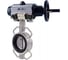 Затвор DN.ru 304-304-EPDM-2W-Fb Ду100 Ру16, пневмопривод, пневмораспределитель D050-64972 1