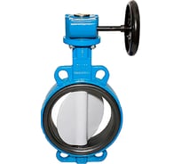 Дисковый затвор DN.ru для абразивных сред QT450-316-EPDM-2W-Fb-R Ду300 Ру16 с редуктором D050-56818