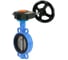 Затвор для абразивных сред DN.ru QT450-316-EPDM-2W-Fb-H Ду100 Ру16, редуктор HAM-1 D050-57765 1