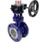 Затвор с тройным эксцентриситетом DN.ru WCB-304-M-F-ISO Ду150, Ру25, редуктор HGB-3 D050-59069 1