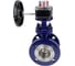 Затвор с тройным эксцентриситетом DN.ru WCB-304-M-F-ISO Ду150, Ру25, редуктор HGB-3 D050-59069 4
