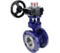 Затвор с тройным эксцентриситетом DN.ru WCB-304-M-F-ISO Ду150, Ру25, редуктор HGB-3 D050-59069 5