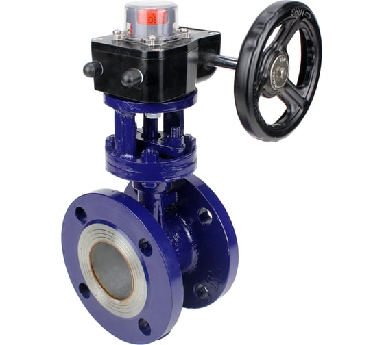 Затвор с тройным эксцентриситетом DN.ru WCB-304-M-F-ISO Ду80, Ру25, редуктор HGB-1 D050-59066 1