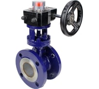 Затвор с тройным эксцентриситетом DN.ru WCB-304-M-F-ISO Ду125, Ру25, редуктор HGB-3 D050-59068