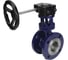 Затвор с тройным эксцентриситетом DN.ru WCB-304-M-F-ISO Ду50, Ру25, редуктор HAM-1 D050-59088 1