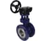 Затвор с тройным эксцентриситетом DN.ru WCB-304-M-F-ISO Ду50, Ру25, редуктор HAM-1 D050-59088 7