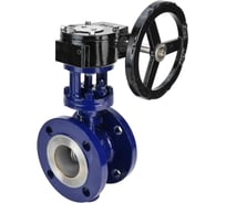 Затвор с тройным эксцентриситетом DN.ru WCB-304-M-F-ISO Ду100, Ру25, редуктор RDN-4 D050-59057