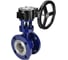 Затвор с тройным эксцентриситетом DN.ru WCB-304-M-F-ISO Ду50, Ру25, редуктор RDN-3 D050-59054 1