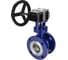 Затвор с тройным эксцентриситетом DN.ru WCB-304-M-F-ISO Ду50, Ру25, редуктор RDN-3 D050-59054 5