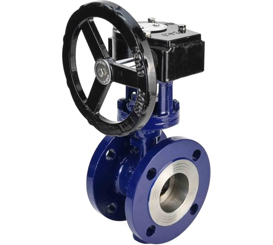 Затвор с тройным эксцентриситетом DN.ru WCB-304-M-F-ISO Ду65, Ру25, редуктор RDN-3 D050-59055