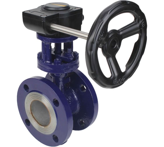 Затвор с тройным эксцентриситетом DN.ru WCB-304-M-F-ISO Ду250, Ру25, редуктор HAM-5 D050-59095