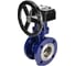 Затвор DN.ru с тройным эксцентр. WCB-316-M-F-ISO Ду50 Ру25, редуктор RDN-3 D050-59059 3