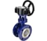 Затвор DN.ru с тройным эксцентр. WCB-316-M-F-ISO Ду50 Ру25, редуктор RDN-3 D050-59059 7