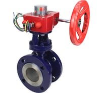 Затвор DN.ru с тройным эксцентр. WCB-304-M-F-ISO Ду100 Ру25, редуктор HGBF-3 D050-59079