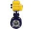 Затвор DN.ru с тройным эксцентр. WCB-304-M-F-ISO Ду50 Ру25 эл.привод QT-010 220В (0-10В) D050-59166 4