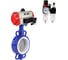 Затвор DN.ru WCB-316L-PTFE Ду80 Ру16 с пневмоприводом, пневмораспределителем, БПВ D050-64505 1