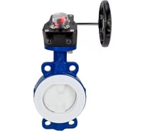 Затвор DN.ru дисковый WCB-WCB-PTFE-PTFE-Fb-R Ду200 Ру16 футерованный с редуктором HGB-3 D050-59309