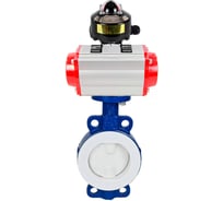 Затвор DN.ru WCB-WCB-PTFE-PTFE-Fb-R Ду250 Ру16 футерованный с пневмоприводом, БКВ D050-59690