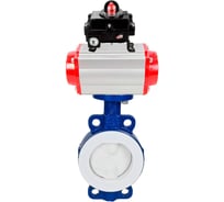 Затвор DN.ru WCB-WCB-PTFE-PTFE-Fb-R Ду200 Ру16 футерованный с пневмоприводом, БКВ D050-59705