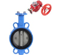 Затвор для абразивных сред DN.ru QT450-316-EPDM-2W-Fb-H Ду200 Ру16, редуктор HGBF-3 D050-57782