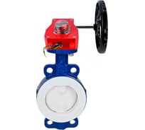 Затвор DN.ru дисковый WCB-WCB-PTFE-PTFE-Fb-H Ду50 Ру16 футерованный с редуктором HGBF-1 D050-59311