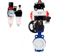 Затвор DN.ru WCB-WCB-PTFE-PTFE-Fb-R Ду300 Ру16 с пневмоприводом, пневмораспределителем, БПВ, БКВ, дублером D050-60326