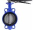 Дисковый затвор DN.ru для абразивных сред QT450-316-EPDM-2W-Fb-H Ду150 Ру16 с рукояткой D050-56815 1