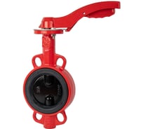 Затвор дисковый поворотный RUSHWORK РАШВОРК DN080, PN16, корпус - GJL-250 (GG25), диск - GJS-400-15 (GGG40), уплотнение - EPDM, М/Ф, рукоятка 200-080-16