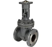 Задвижка клиновая DN.ru 30с964нж WCB-WCB-M-2W-F-ОСТ Ду300 Ру25 фланцевая GAIR D040-08829