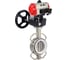 Затвор DN.ru 316L-316L-PTFE Ду125 Ру16 с пневмоприводом, пневмораспределителем, дублером D050-62899 1