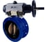 Затвор DN.ru GGG40-304-EPDM-2W-F Ду50 Ру16 пневмопривод, пневмораспределитель D050-65328 1