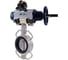 Затвор DN.ru 304-304-VITON-2W-Fb Ду150 Ру16, пневмопривод, пневмораспределитель, БКВ D050-65007 1