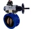 Затвор DN.ru GGG40-304-EPDM-2W-F Ду80 Ру16 пневмопривод, пневмораспределитель, БКВ D050-65338 1