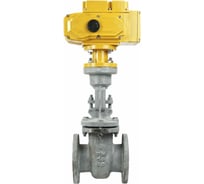 Задвижка клиновая 30с941нж 25Л-25Л-M-2W-F-ОСТ Ду100 DN.ru Ру16 GAIR, привод 220В MT D040-08831