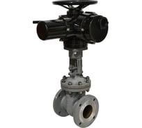 Задвижка клиновая DN.ru 30с964нж WCB-WCB-M-2W-F-ОСТ Ду300 Ру25 GAIR, привод 380В VGD D040-08853